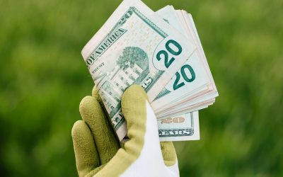 Seasonal Trends in Scrap Metal: Why Timing Your Drop-Off Can Impact Profits